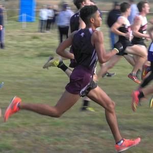 Meet your Posher, Bailey